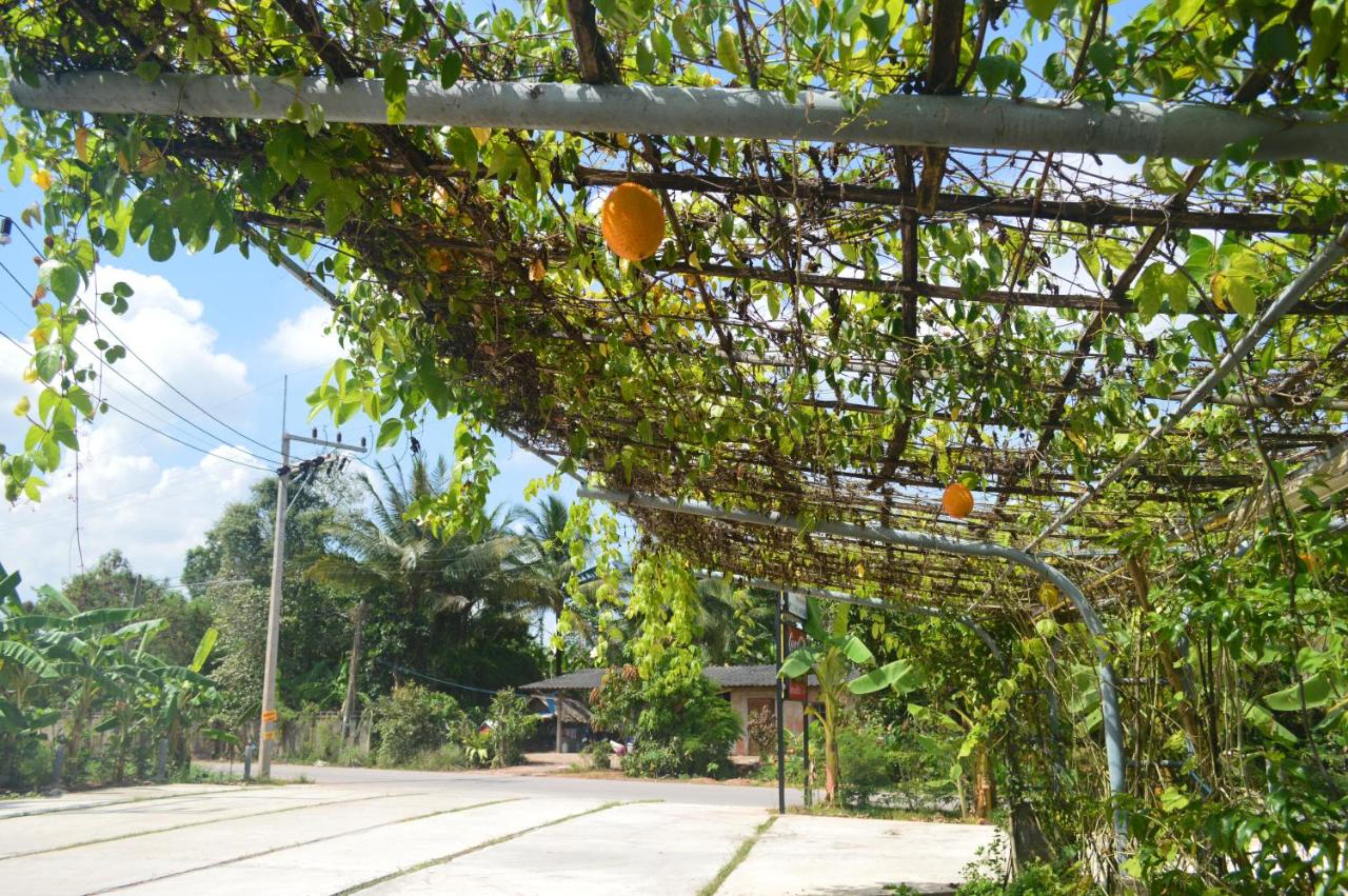 Be Fine Sabuy Hotel And Resort Surat Thani Exterior foto